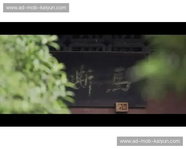 《投身荣光：柔道纪录片》